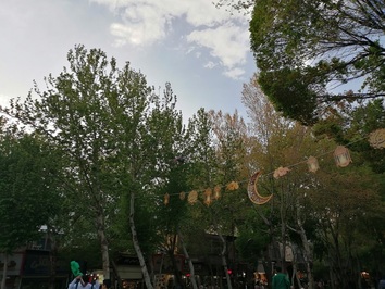 حضور خبرنگار و تصویر برداران شبکه المیادین لبنان