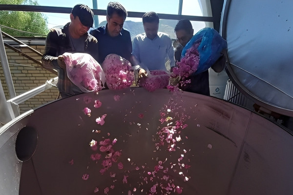 از مهاجرت معکوس جوانان روستا تا شگفتی سازمان فائو