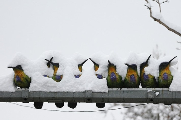 بارش برف در دیار الوند استوار